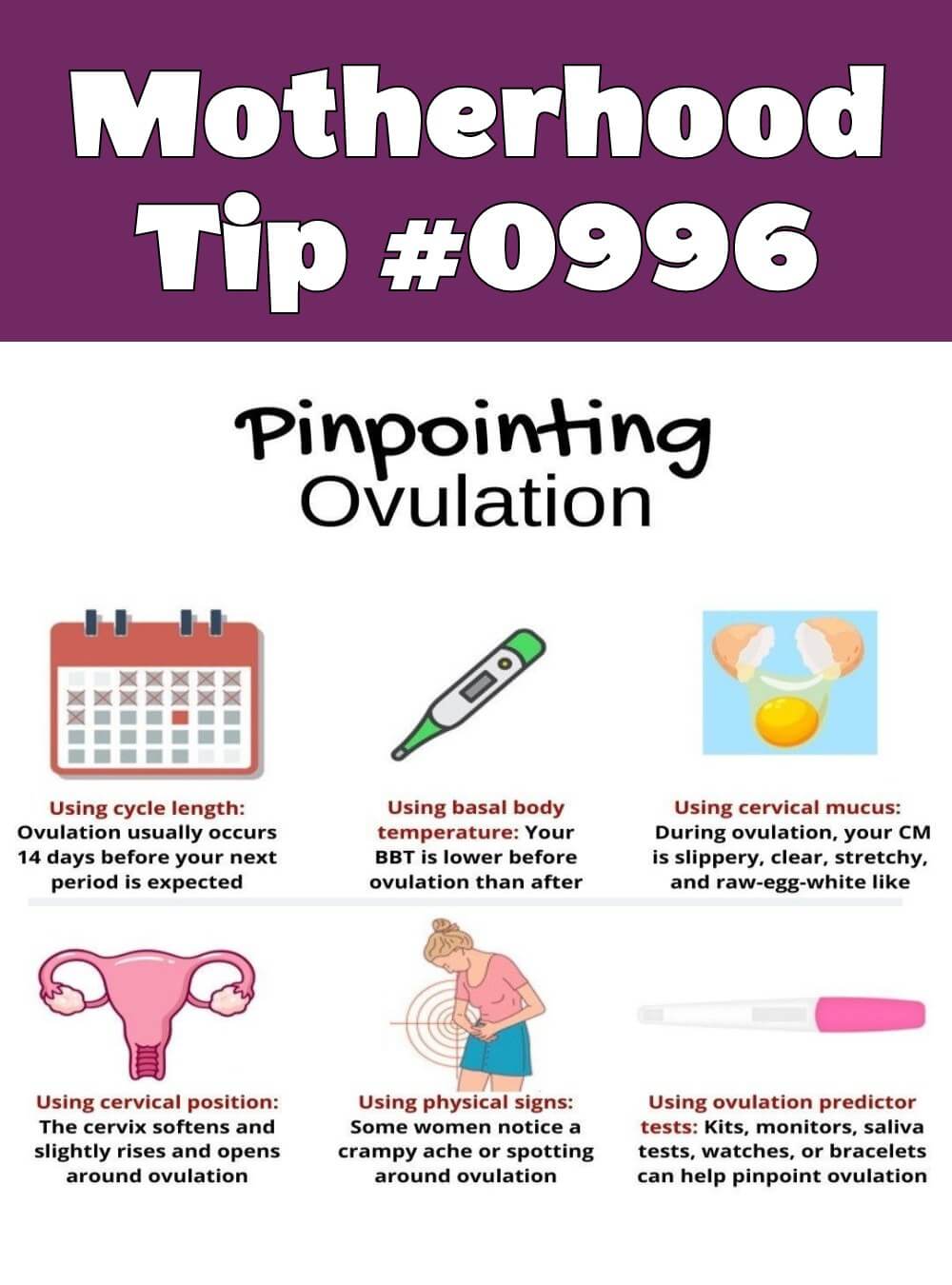 Parenting and Pregnancy Infographic | Motherhood Tip #0996